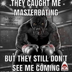 Meet your Posher, Bentley